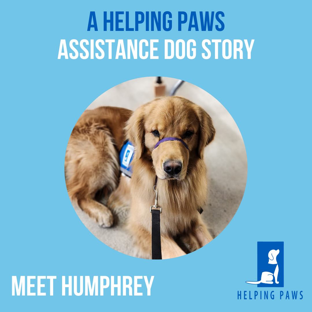 Humphrey the Wonder Dog