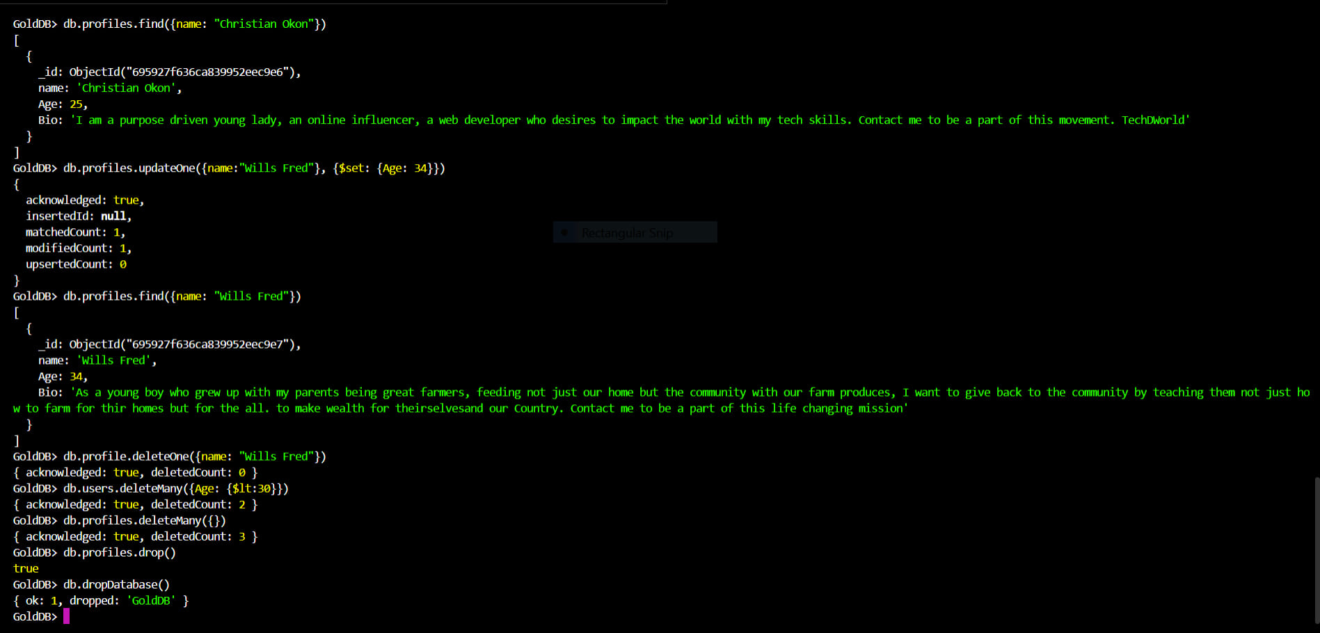 GoldBlessing - Learning Git, Git Bash, and Hyper Terminal has been an ...