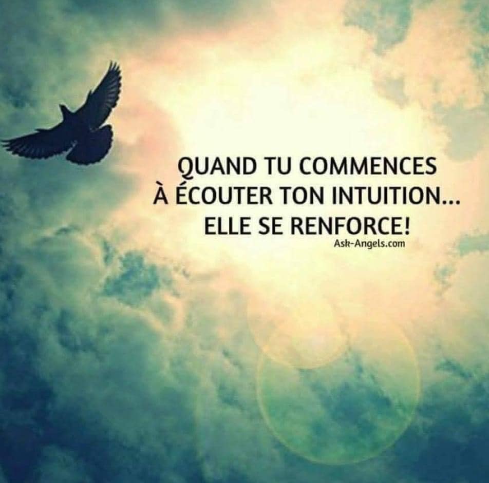 Albane - L’intuition ce n’est pas une disposition à capter de l ...