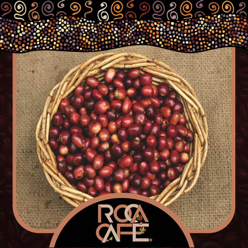 ROCA CAFÉ - 🤓👉Los granos que en ROCA CAFÉ tostamos,...