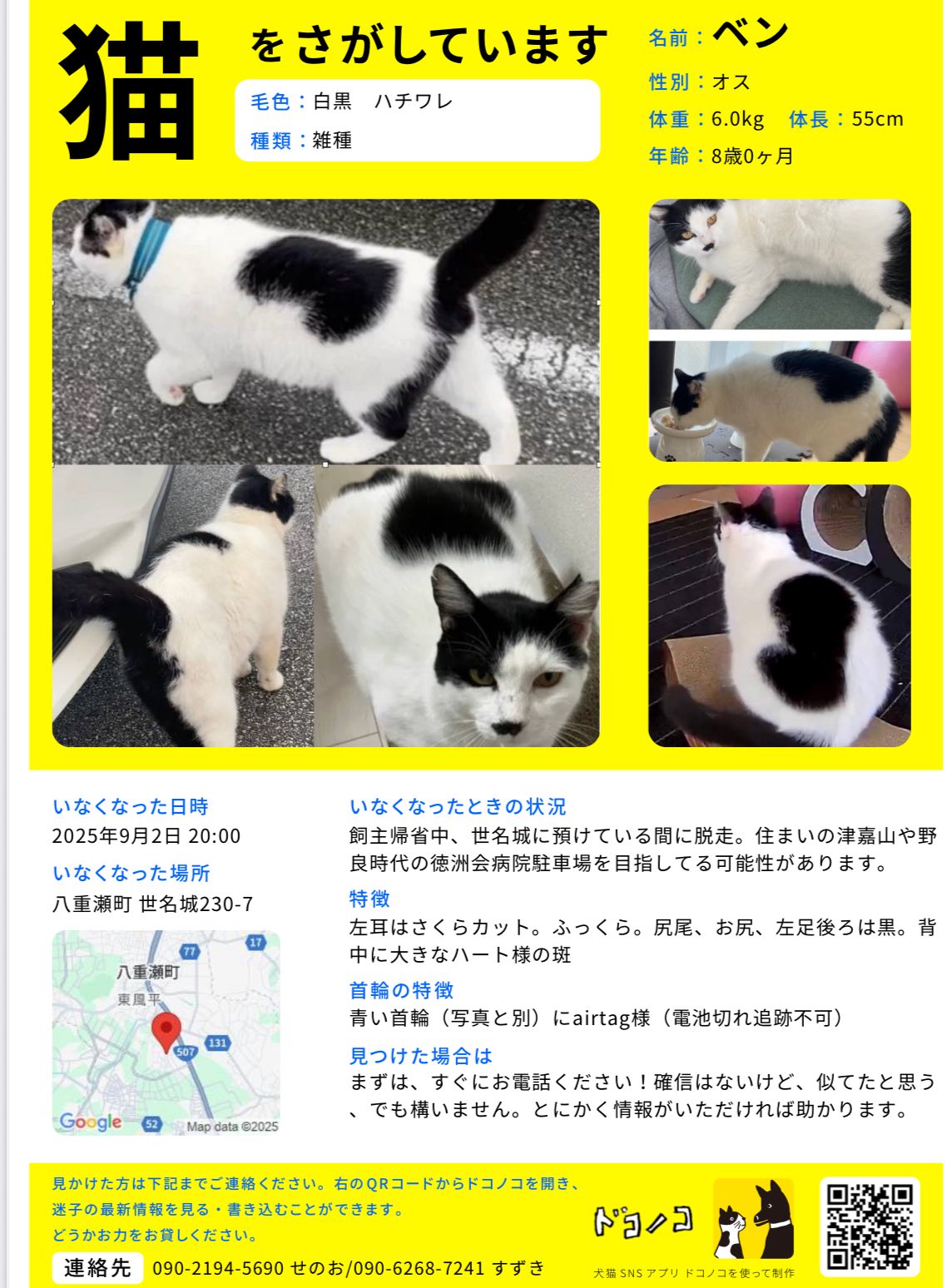 繰り返しの投稿お許しください。 世名城を出たあと、数日内にで玻名城
