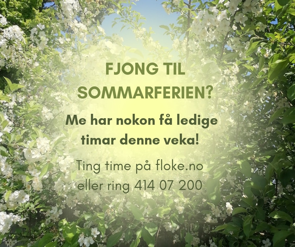 Floke - Floke (Oslo) added a new photo.