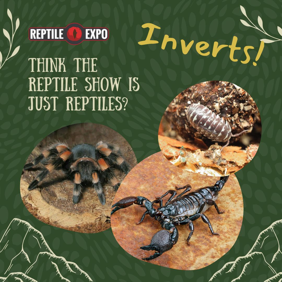 Canadian Reptile Expos - 🤔 Think again! From Isopods to Tarantulas we ...