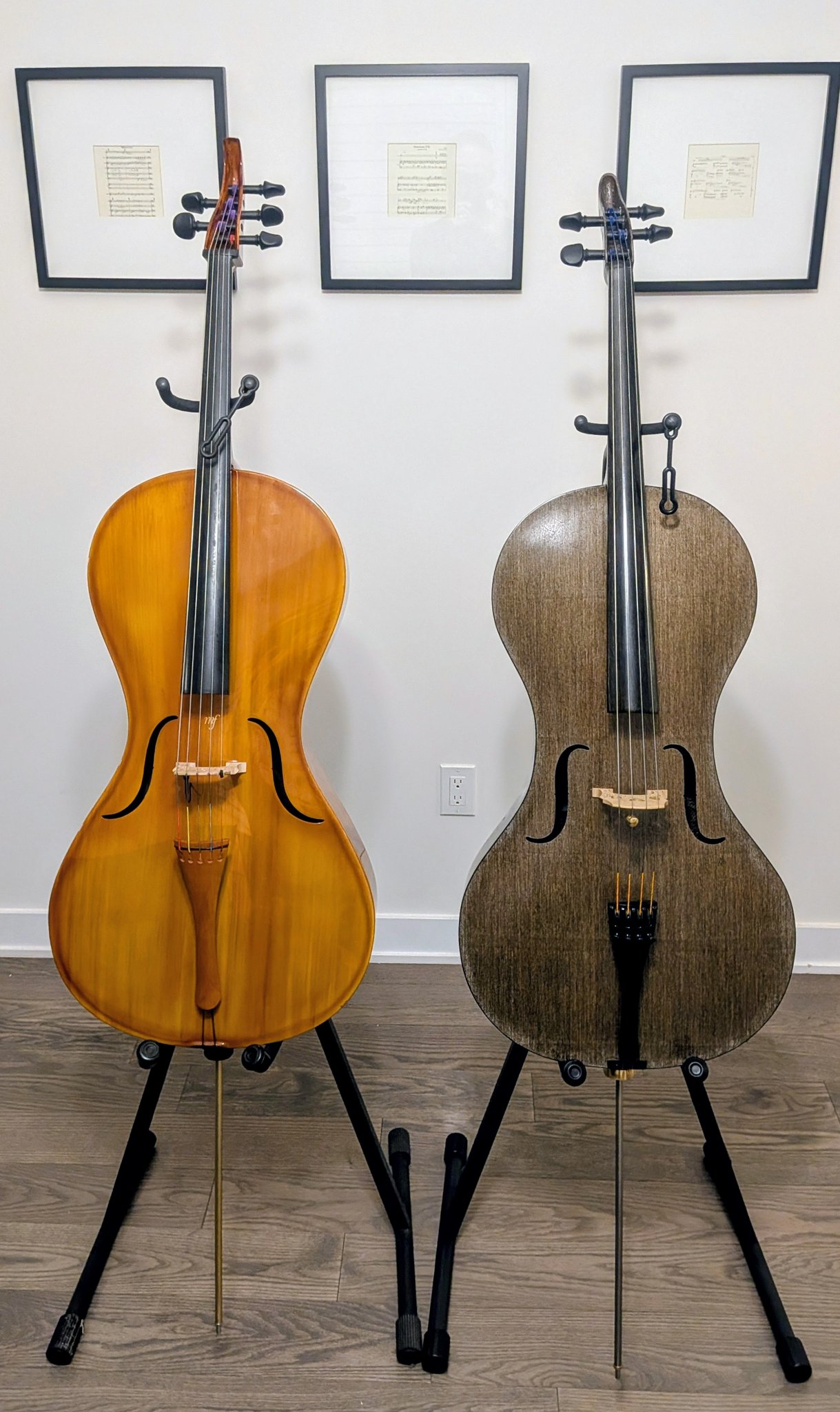 Alfred Stingl-Hofner AS-060-C3/4 cello review for intermediate player