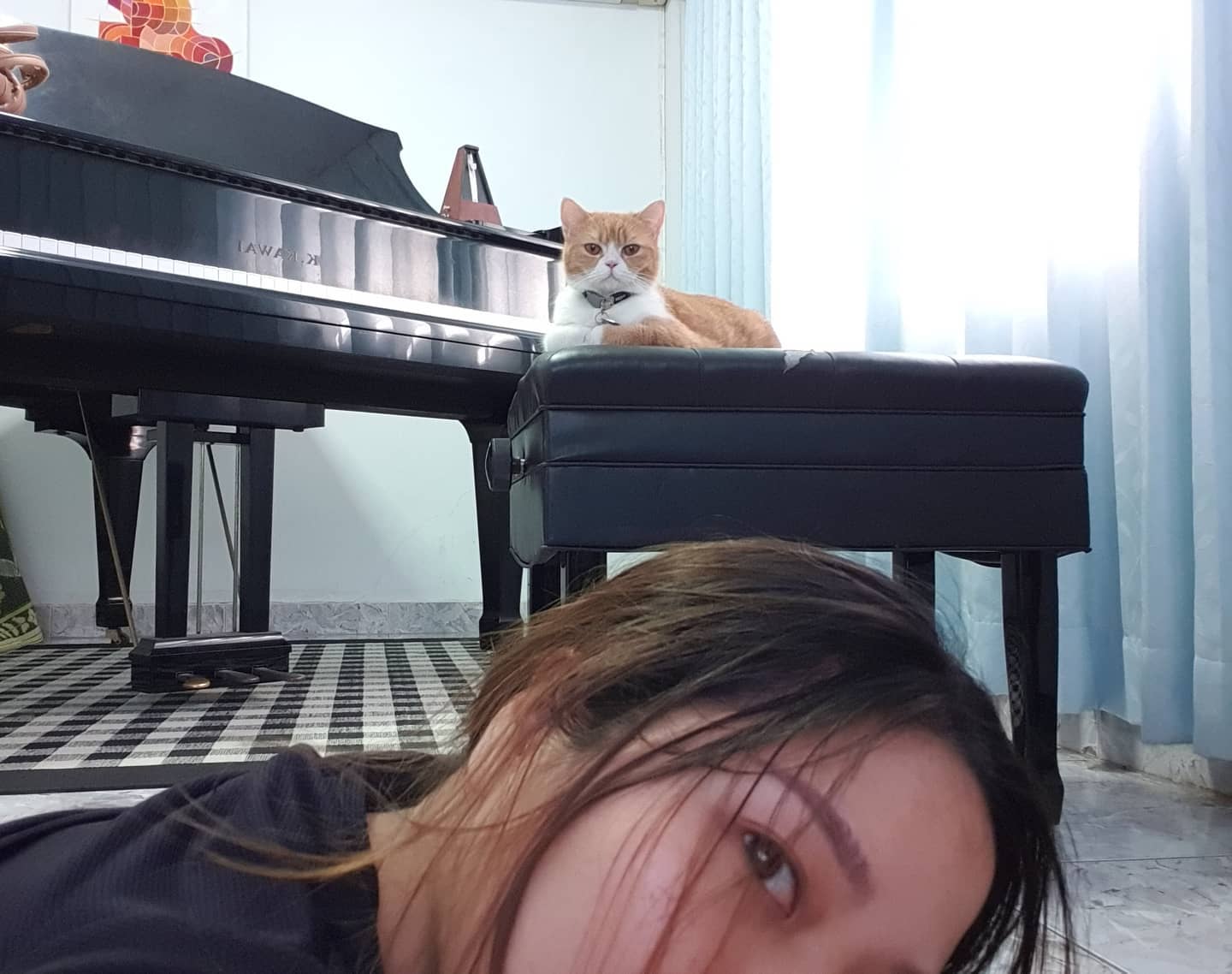 Python&Kotlin - เจ้ามาหนูดดด #ทาสแมวที่แท้ทรู😻 | Facebook
