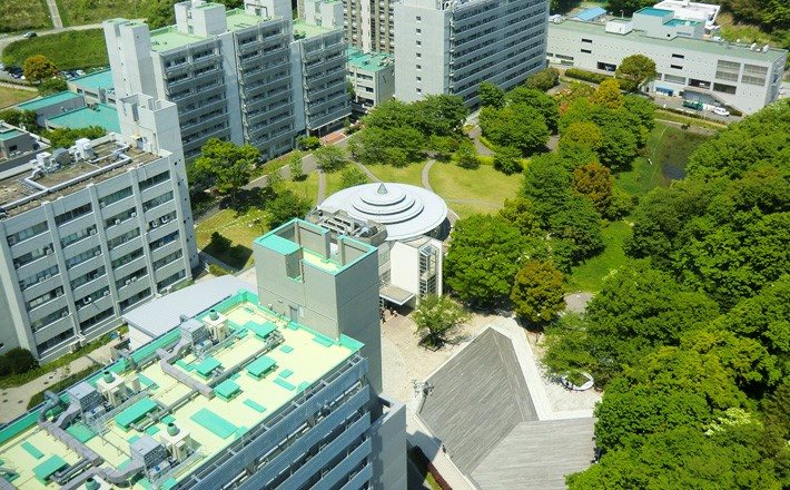 Campus lore! 🎓 What would... - Tokyo Institute of Technology | Facebook