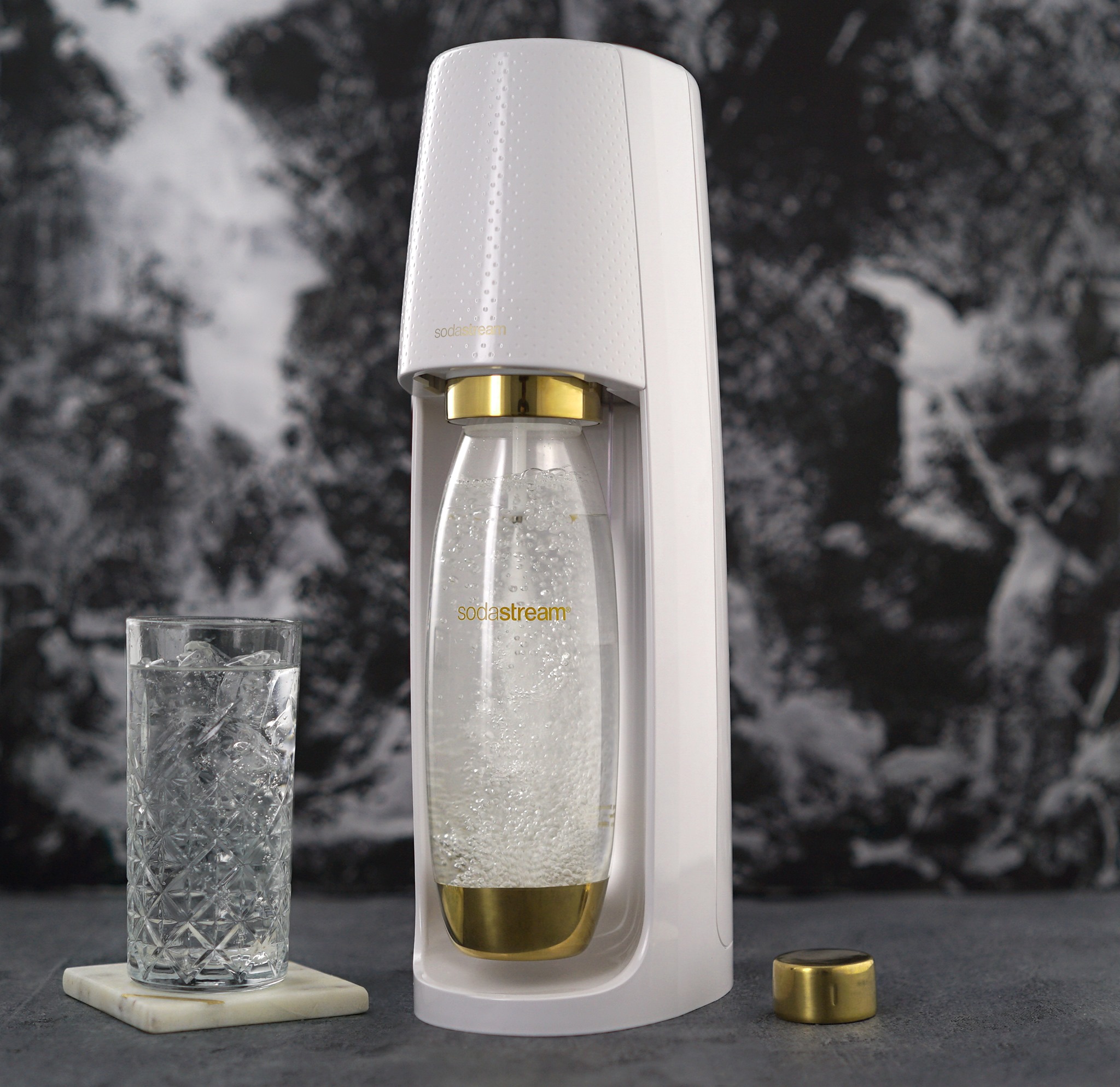 Vivienne Westwood × 24Bottle コラボ 24Bottles x Vivienne Westwood