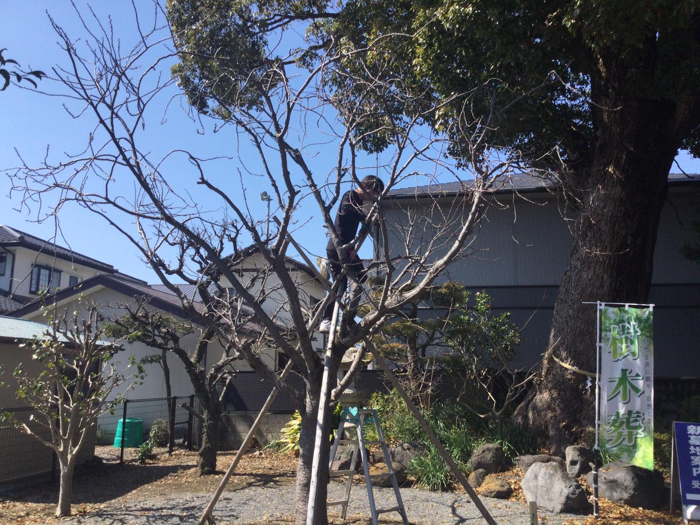 正眼寺 ホーム Facebook