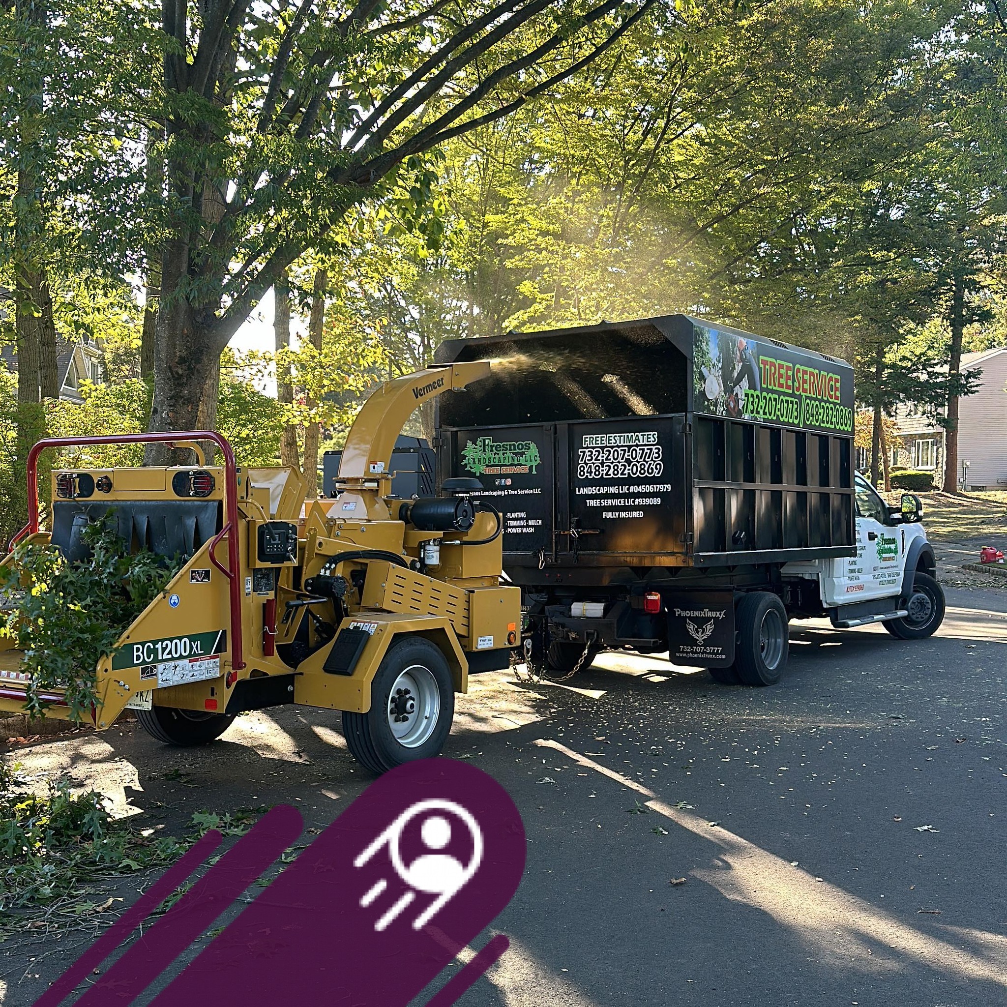 🌳 Watch Our Tree Crew in Action! 🔥 Professional Tree Removal in New ...