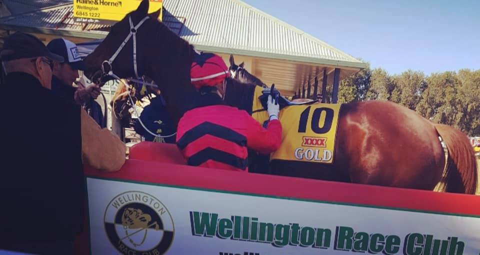 The Wellington Race Club has... - Wellington Race Club NSW