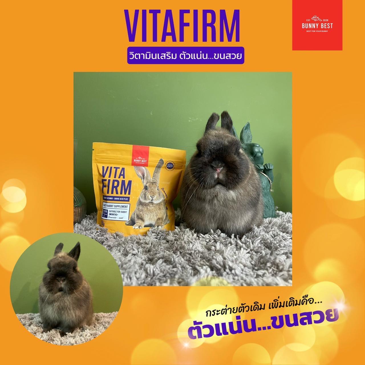 :: VITAFIRM :: วิตามินเสริม... - BunnyBest.Official