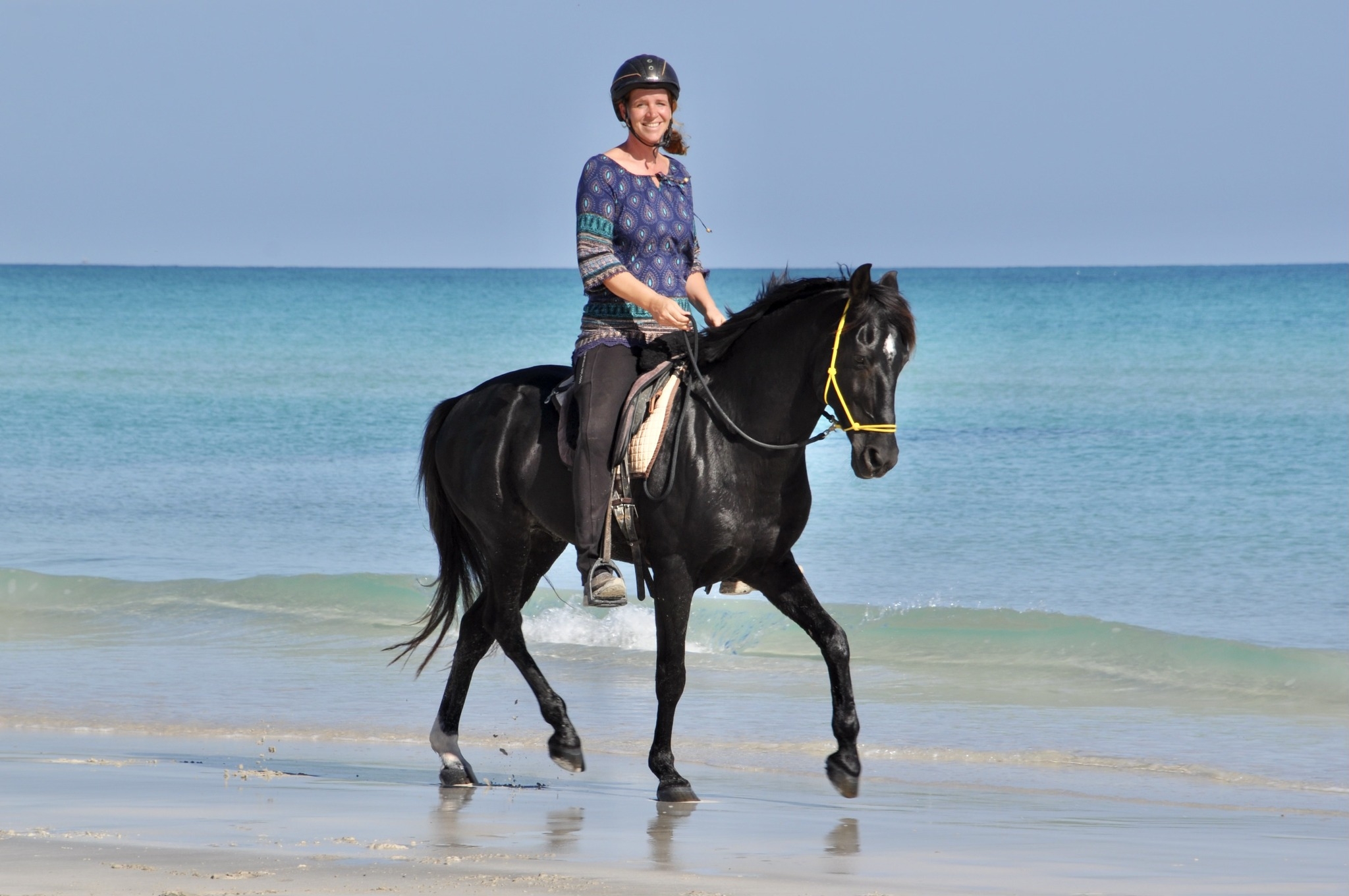 Our lovely long ride to the blue lagoon yesterday 🥰 #reitenamstrand # ...