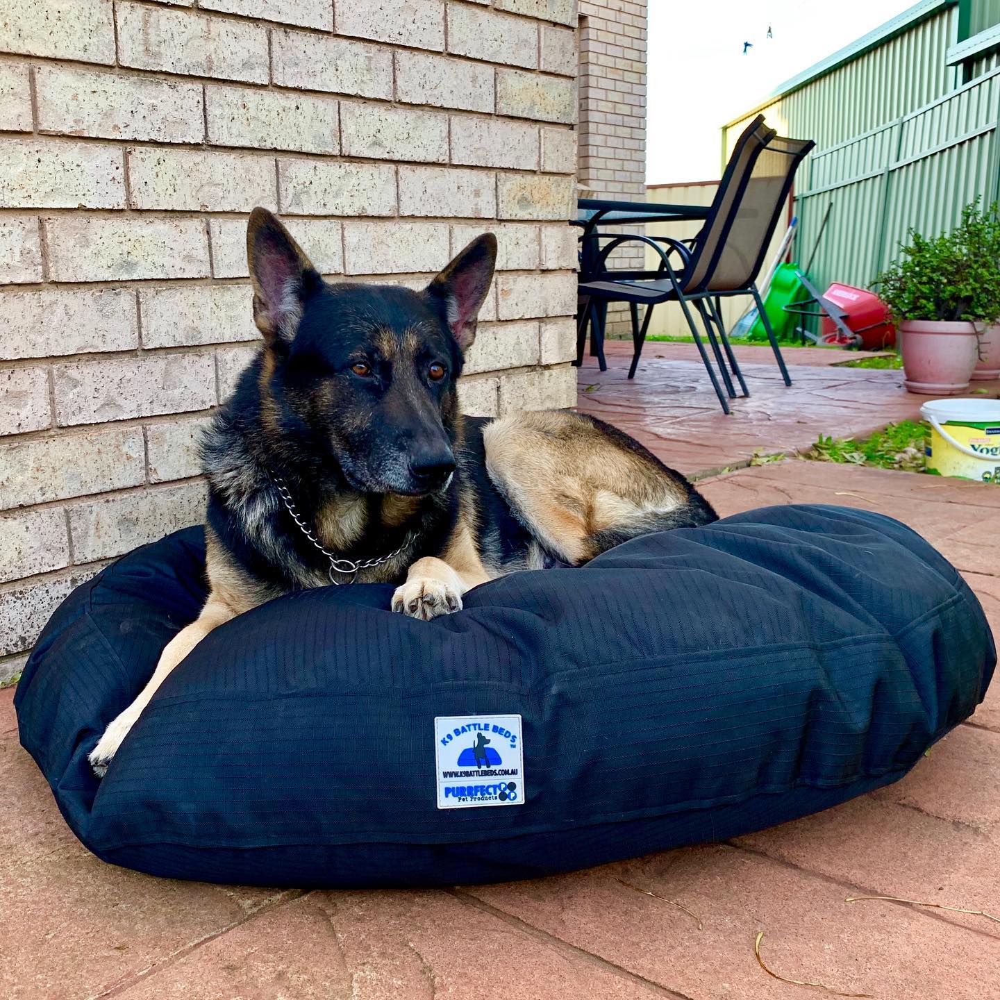 K9 - K9 Battle Beds are super comfortable and durable! www.k9battlebeds ...