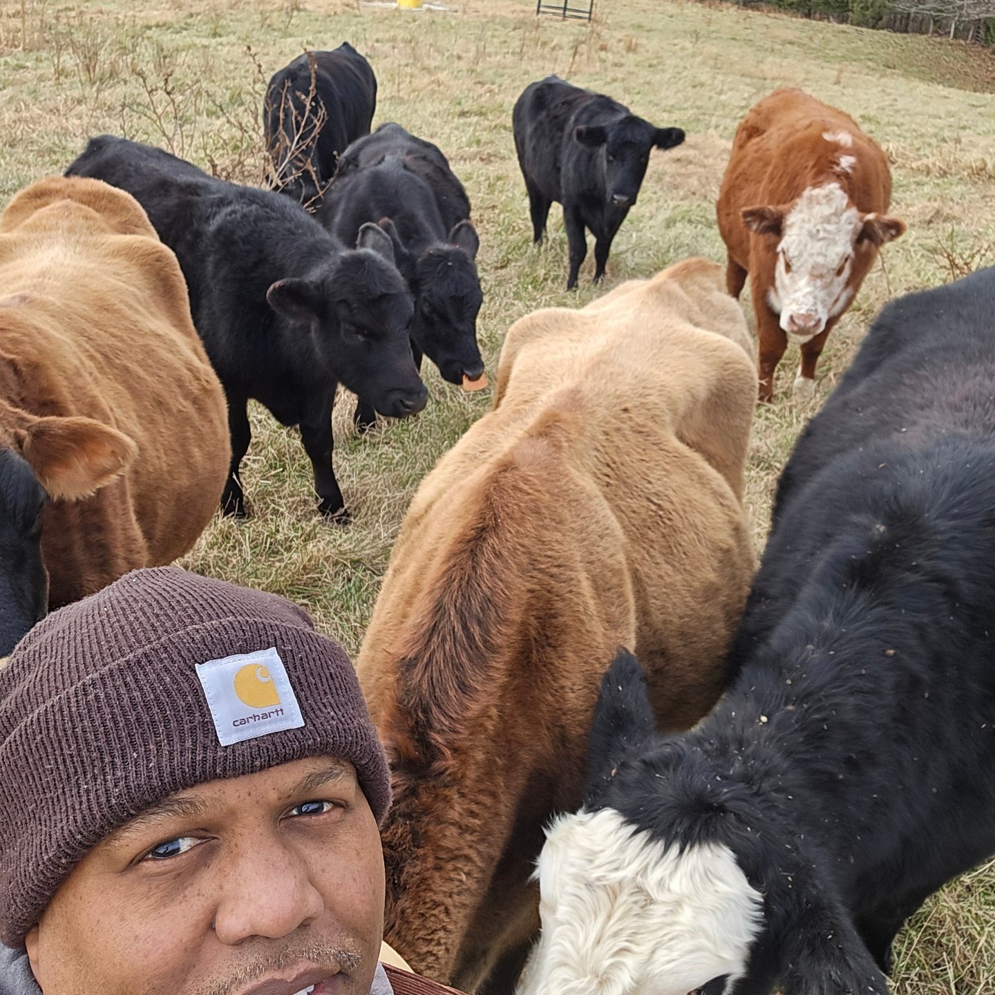 Abdus-Sabur Farms | Green Bay VA