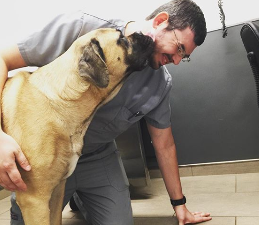Lucy is giving Travis lots of... - VCA Blum Animal Hospital | Facebook