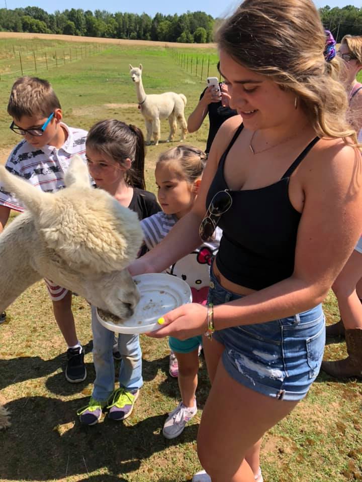 LondonDairy Alpaca Ranch | Two Rivers WI