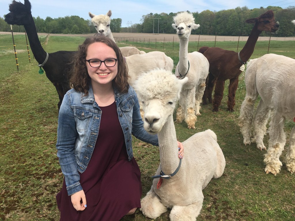 LondonDairy Alpaca Ranch | Two Rivers WI