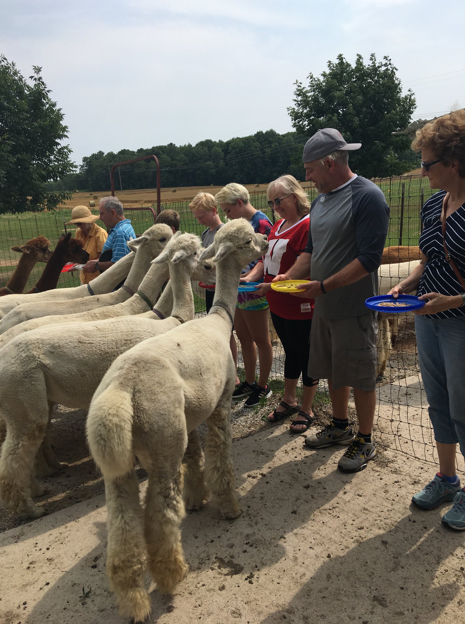 LondonDairy Alpaca Ranch | Two Rivers WI