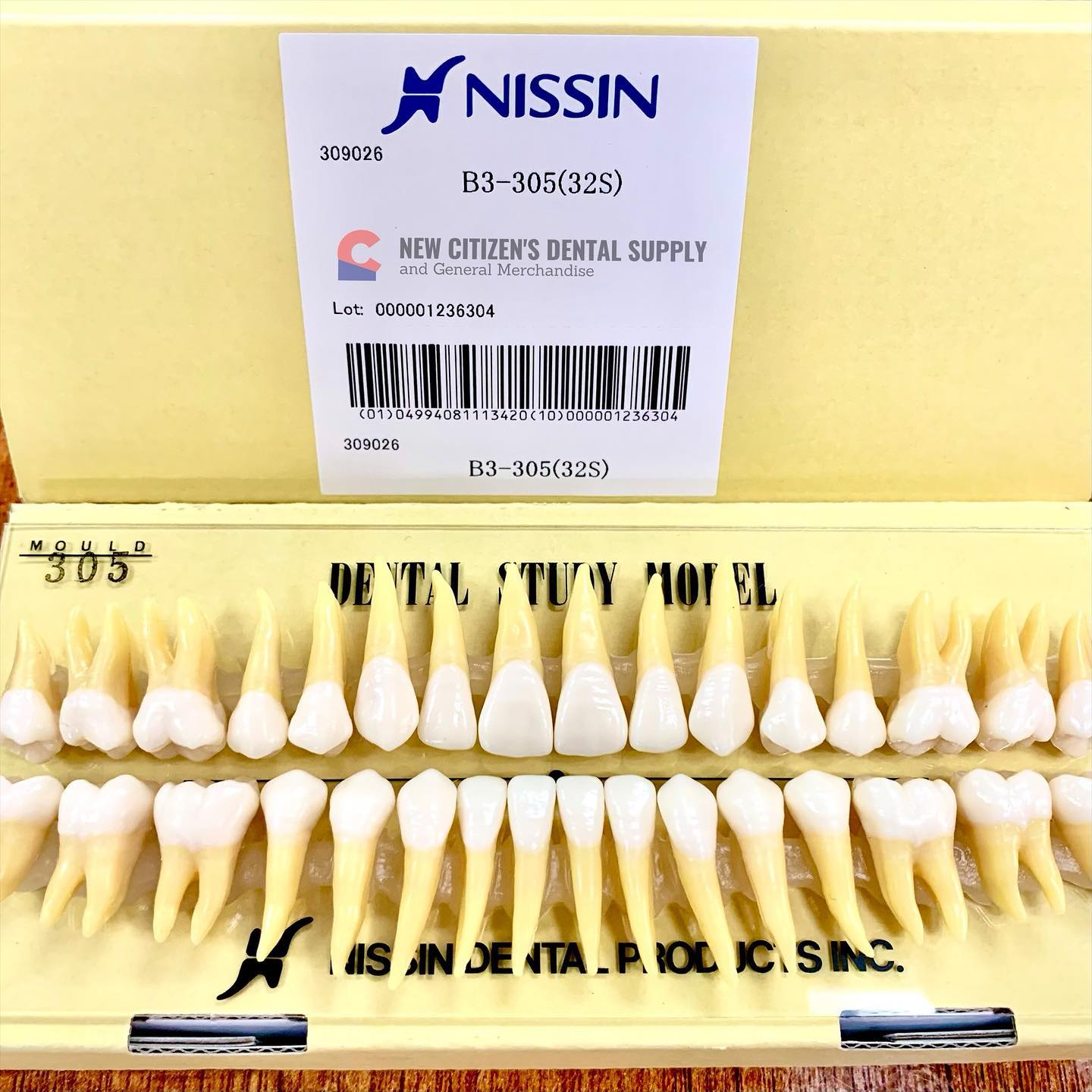 Nissin Oral Anatomy Tooth Models is now available‼️ For only P3