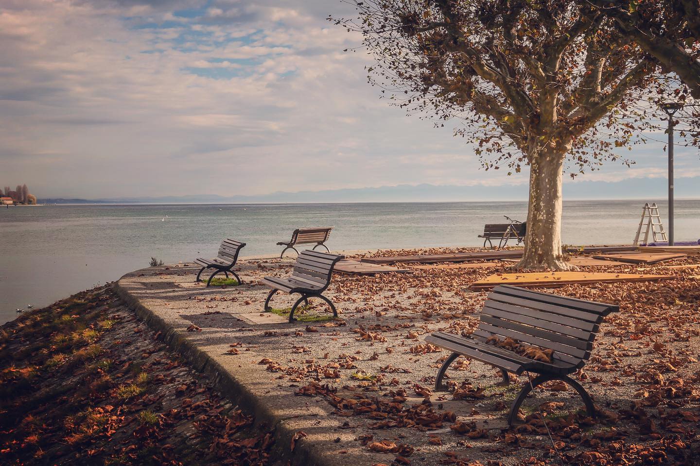 Urban Vibe Winter Is Coming Also Urban Vibe Pretty Damn Soon Badenwurttemberg Urbanphotography Lifestylemagazine Lakeofconstance Urbanvibemag Urbanlifestyle Haramharald Representing Bigcitylights Urbanstyle Afromarco Constance