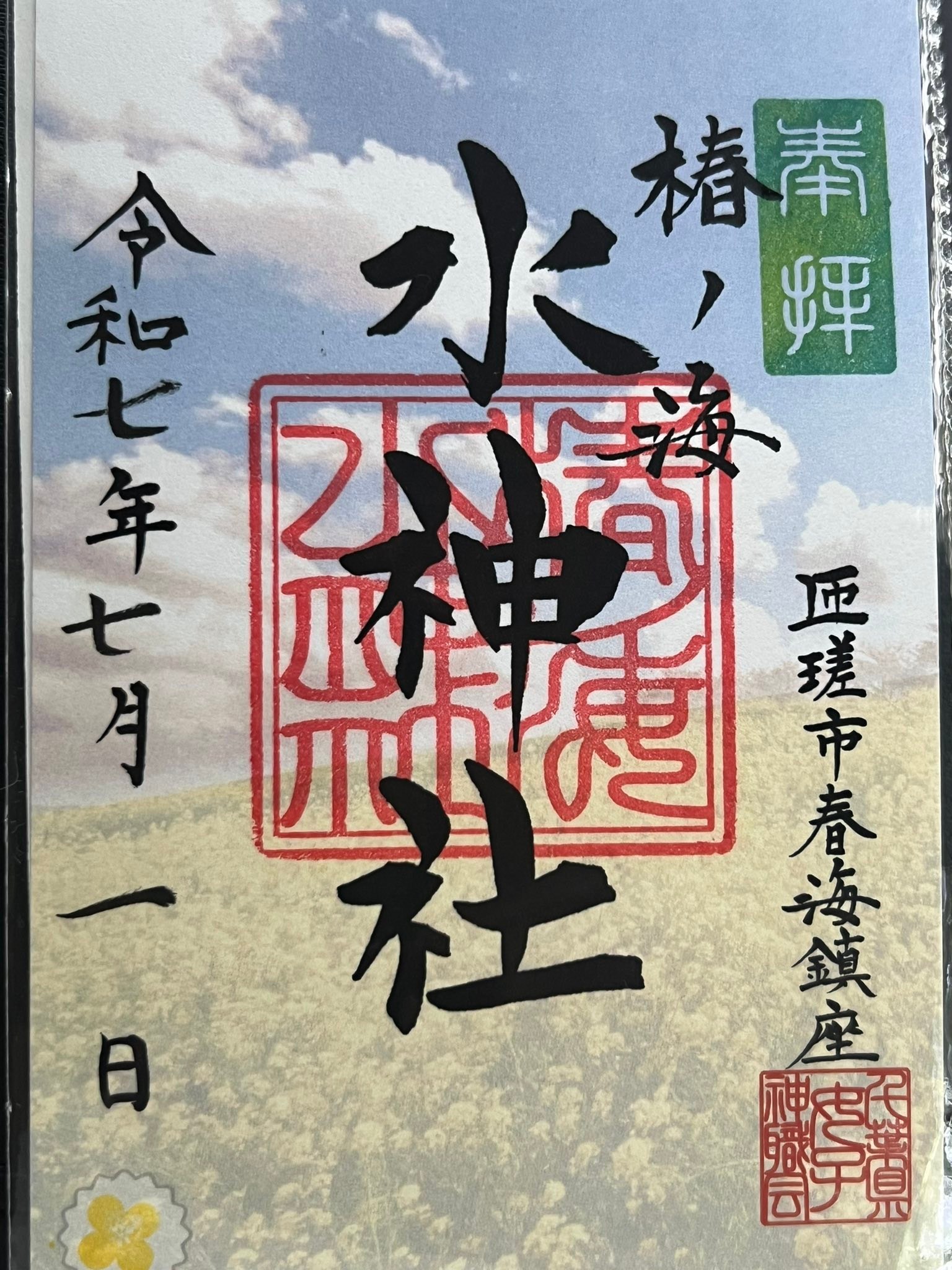 今日、千葉県匝瑳市の椿ノ海水神社⛩️参拝させて頂きました? 菜の花 
