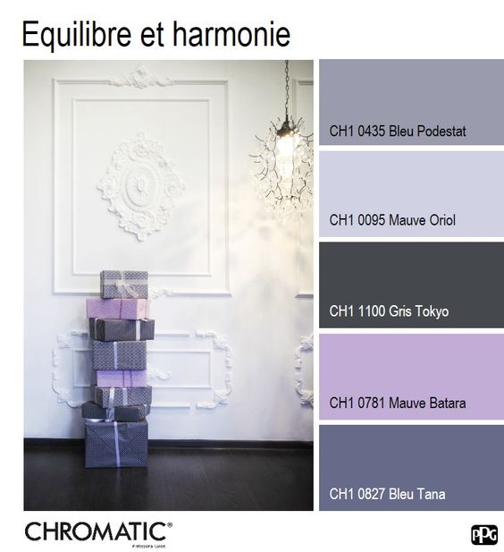✋présentation peinture murale UNIKALO Aqualine velours - YouTube