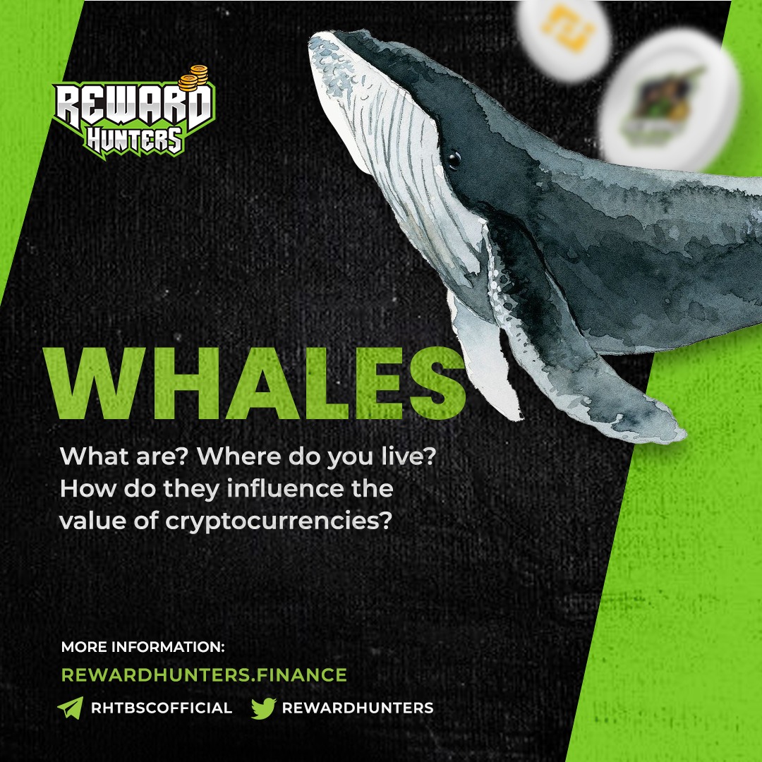 Reward Hunters - Have you ever heard about whales in the...