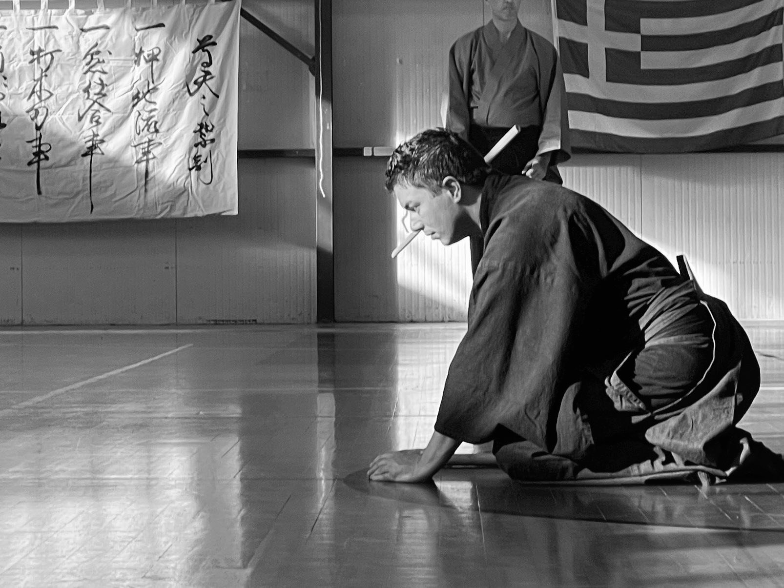 Hyoho Taisha-ryu kenjutsu Europe | Turin