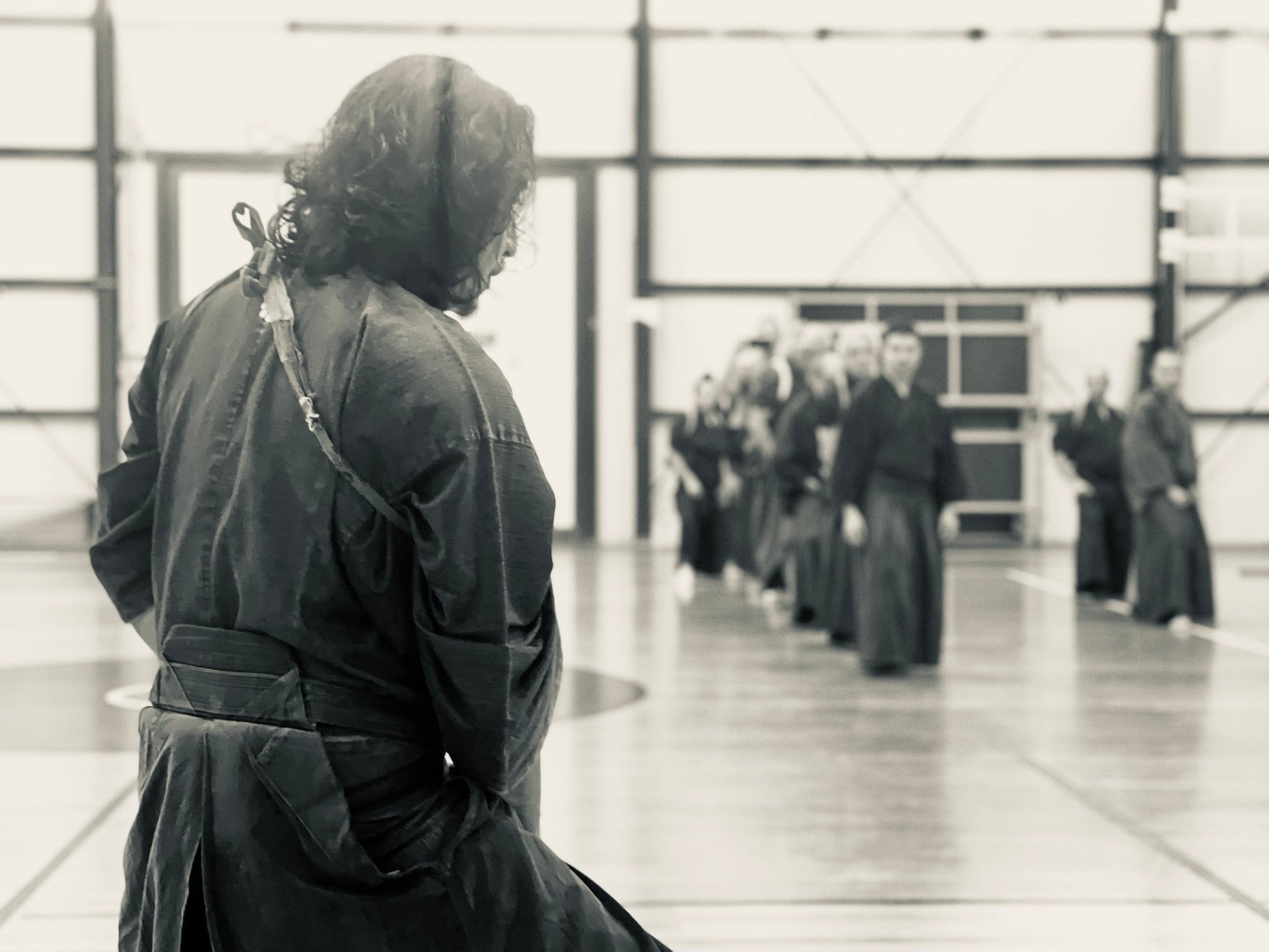 Hyoho Taisha-ryu kenjutsu Europe | Turin