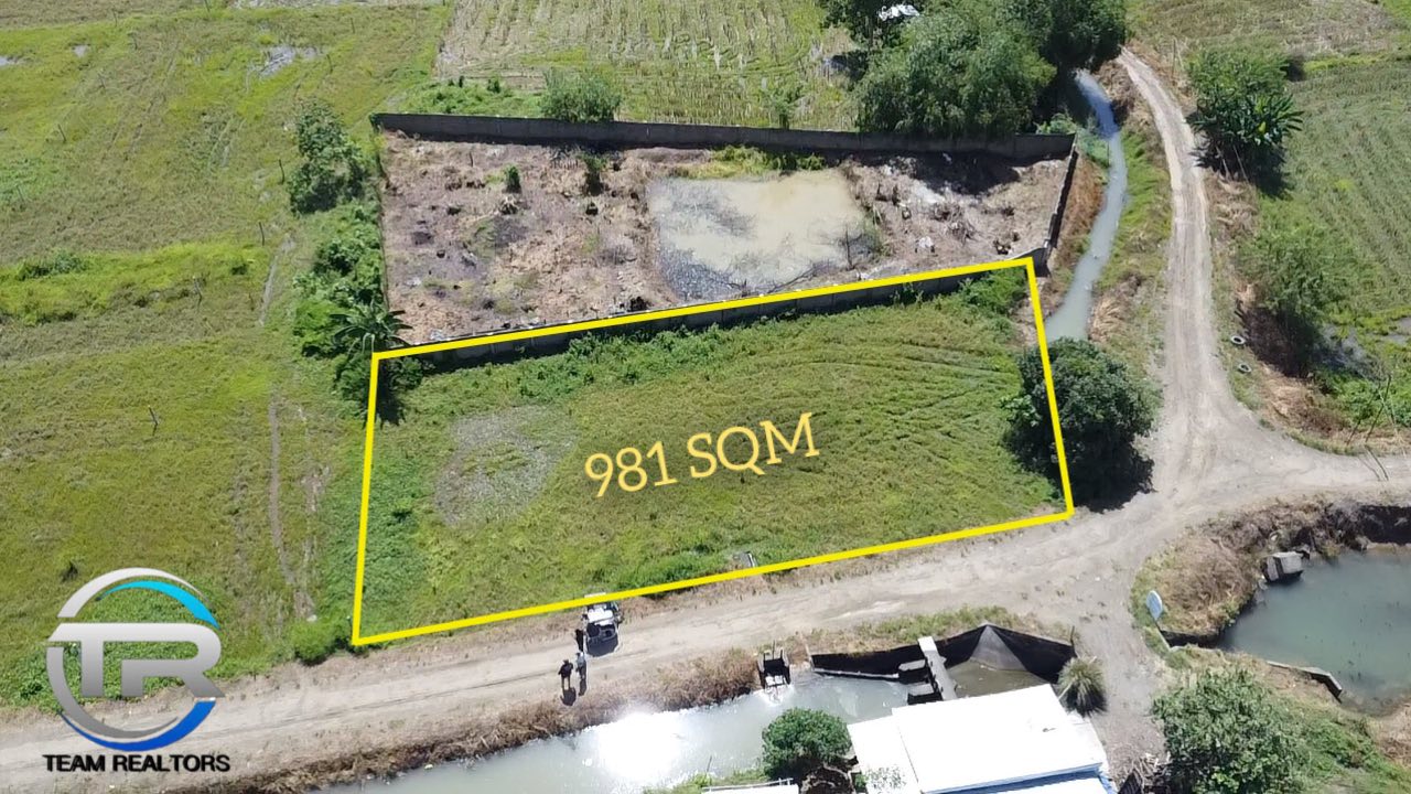 TEAM REALTOR'S LOT LISTING GROUP | Area: 981 sqm titled | Facebook