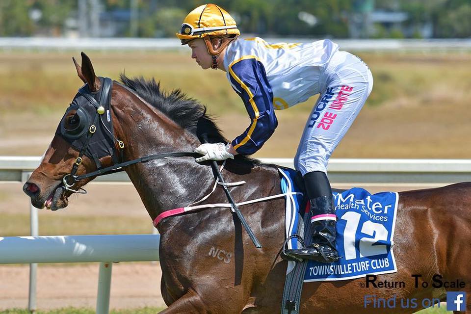 Holt Racing - Our beloved Johantee is for sale. She has...