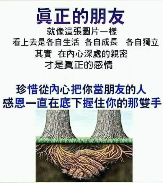 Delft学生团契 Publicacoes Facebook
