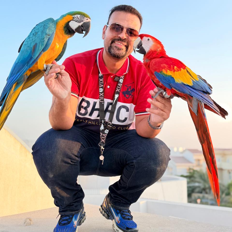 خدمة ديليفري بطريقة البغبغاء🫢 #birds #parrot #هدد مكاو #طيران حر مكاو ...