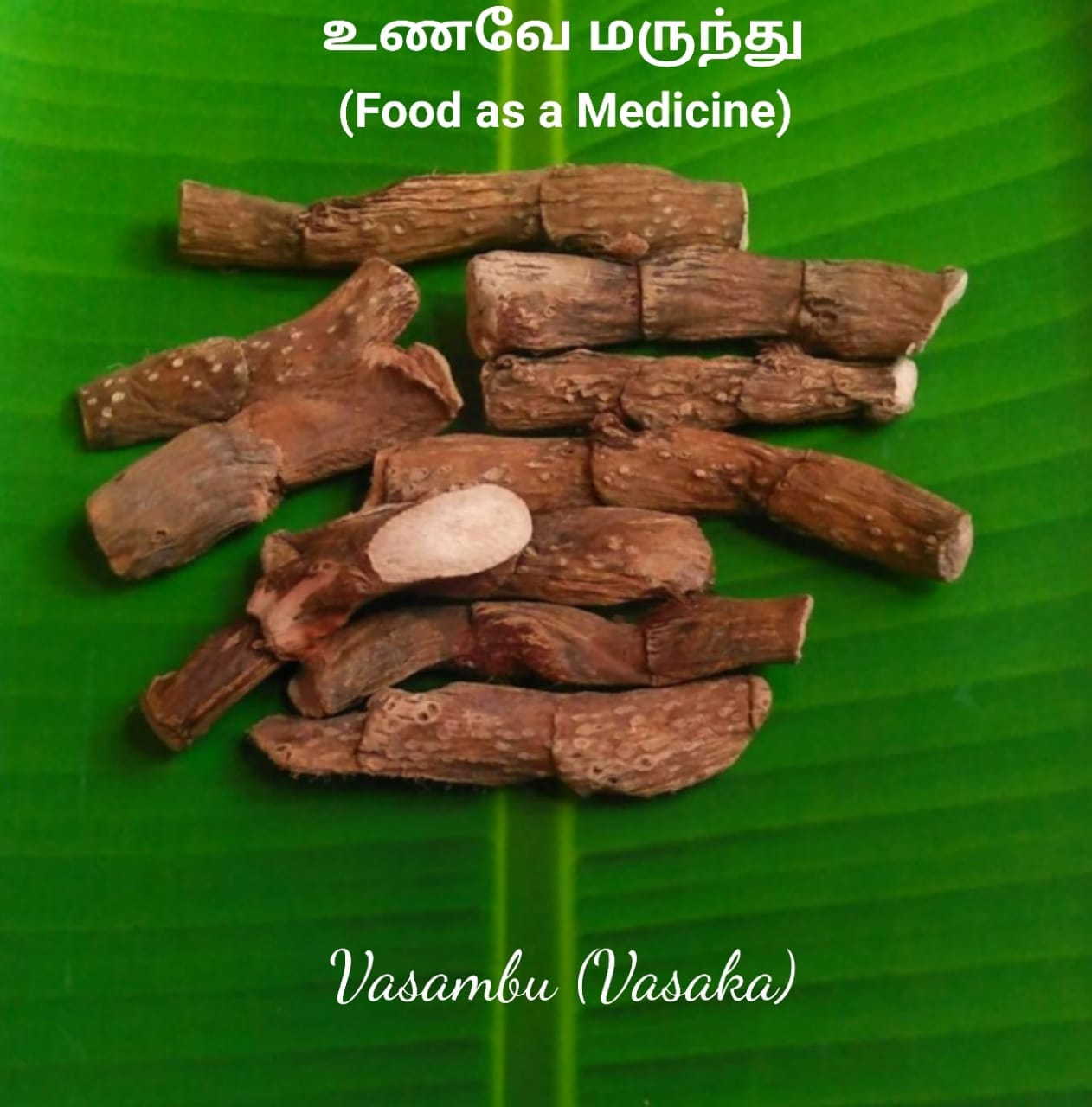 Idli - It is called vasambu in Tamil, vacha in Sanskrit and bach in ...