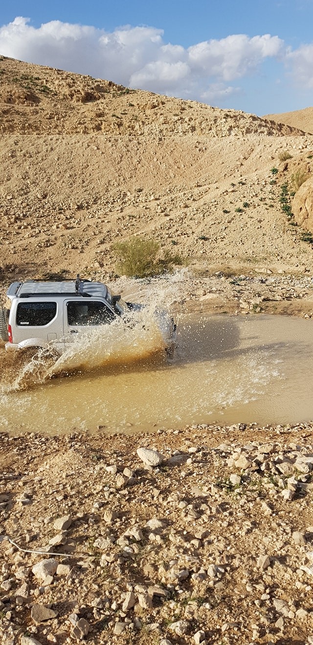 Wael Abu Rabiah