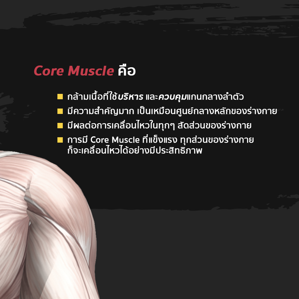 MOOVE - 📝 Core Muscle คืออะไร ? ความจริงแล้ว “Core Muscle” คือ ...