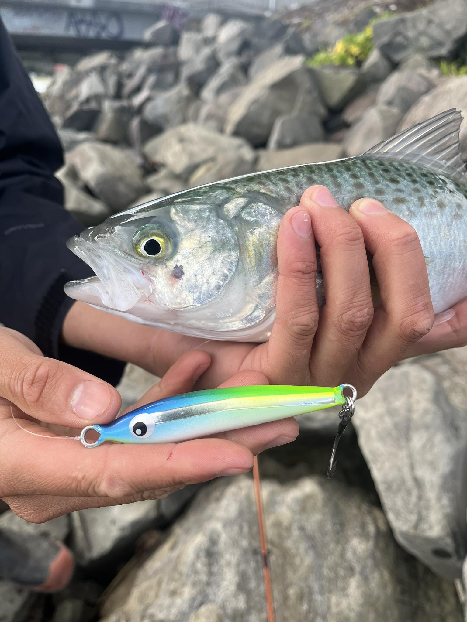 envirotex for fishing lures Nomad Design Squidtrex Patented Vibrating Lure- Scent Added TPE Soft Plastic Lure Saltwater w/Strong BKK Assist Hooks, Fishing Bait that Catches Many Species- 55mm 2", 1/6oz- Aqua Ghost Createx/ Envirotex mid-coat - Lure