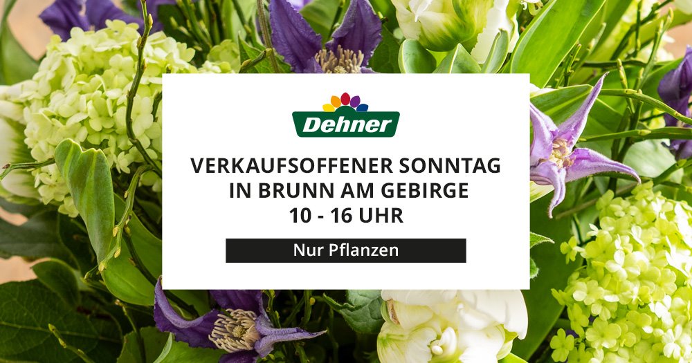Verkaufsoffener Sonntag im Dehner Markt in Brunn am Gebirge