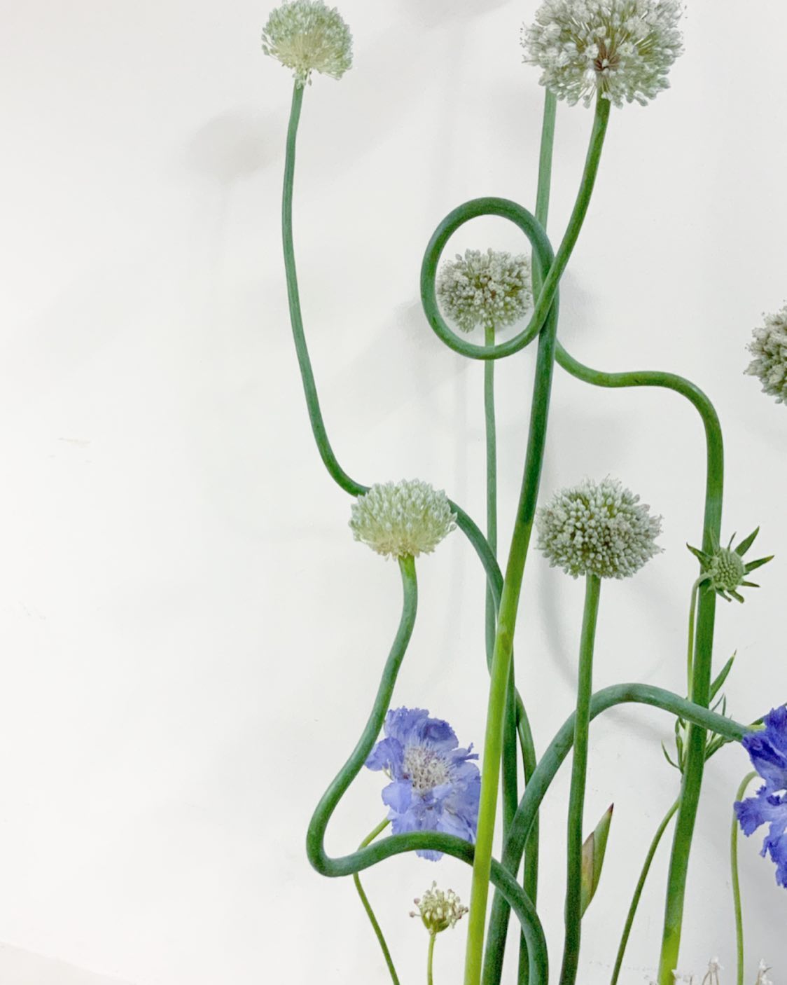 KANKO - アリウム ツボにハマル By Yoshiko #flowers #ikebana #flowerarengmen # ...