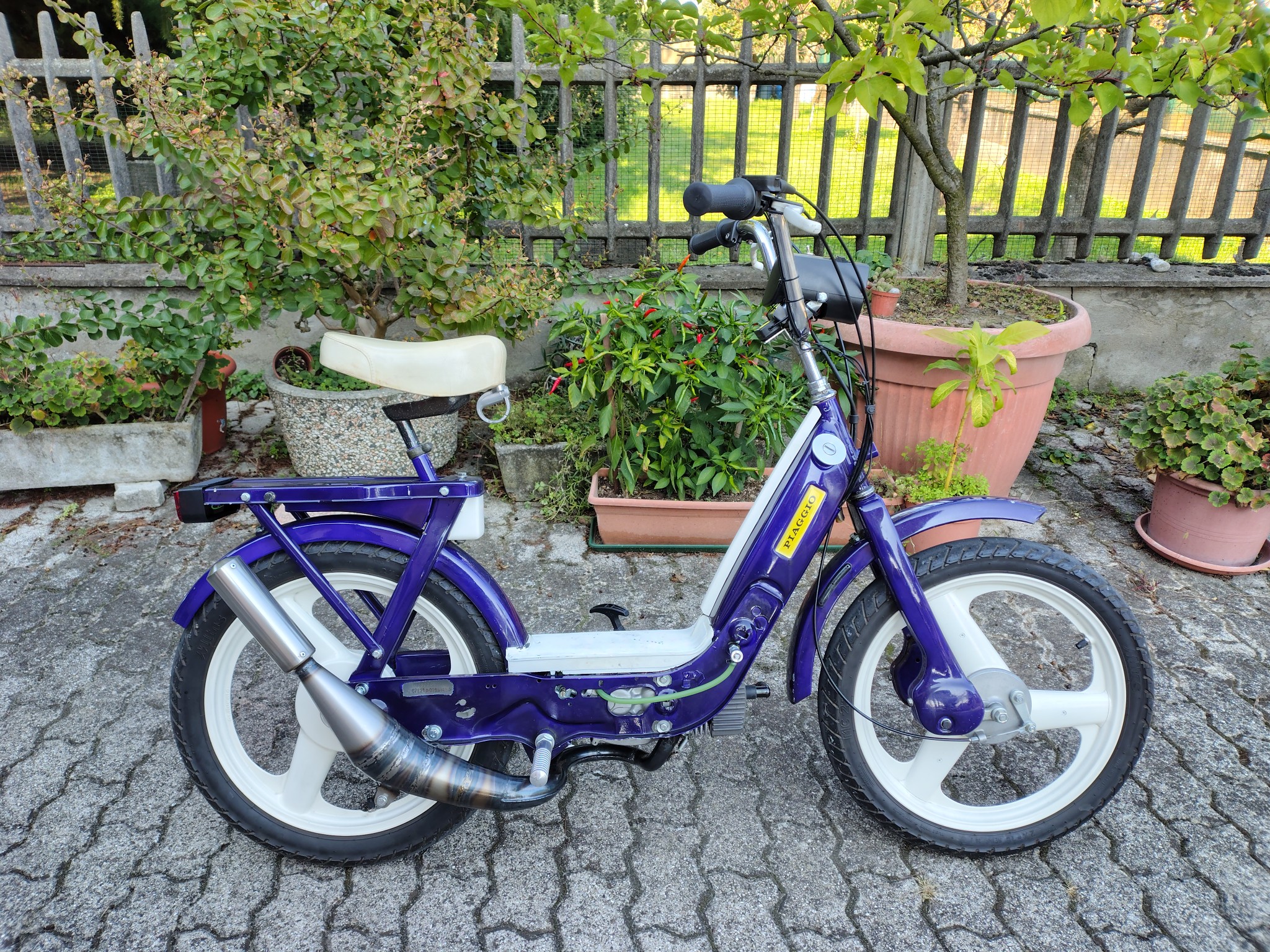 ciao piaggio che passione | Buongiorno a tutti, grazie per l'ammissione ...