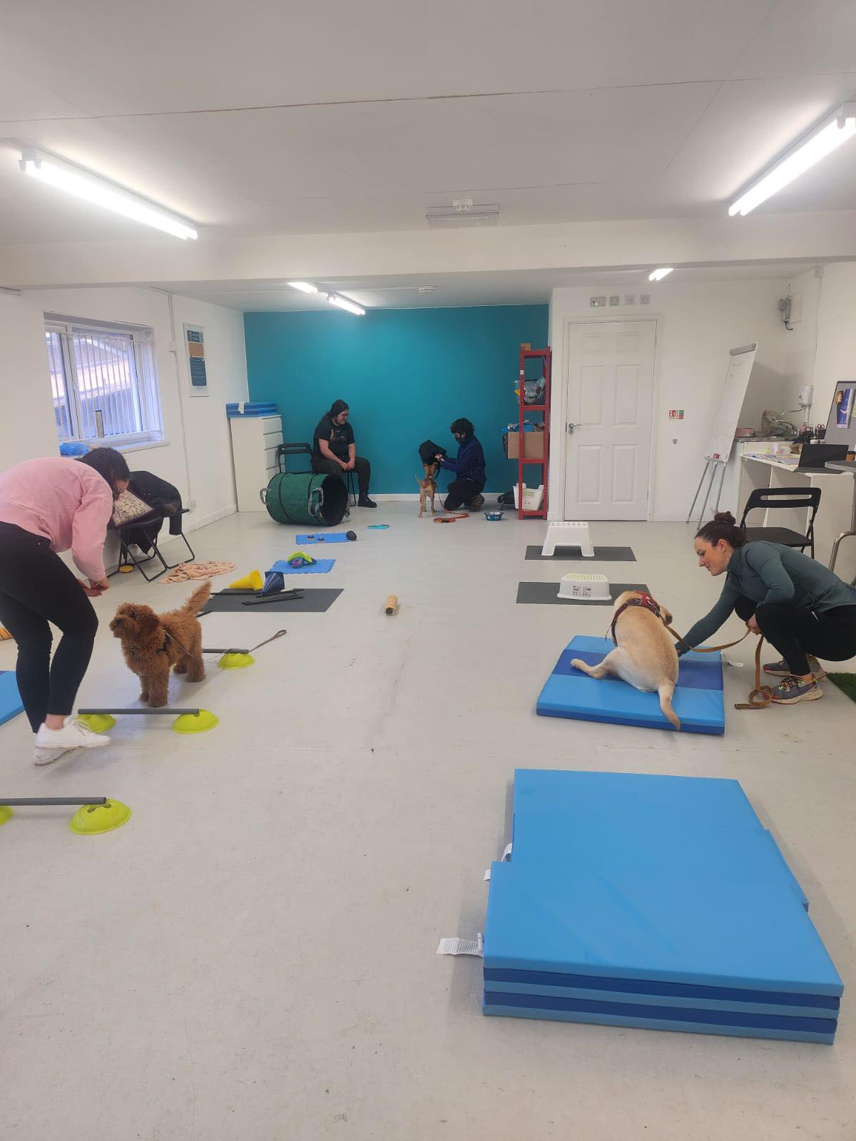 Cardiff Dog Training Academy | Cardiff
