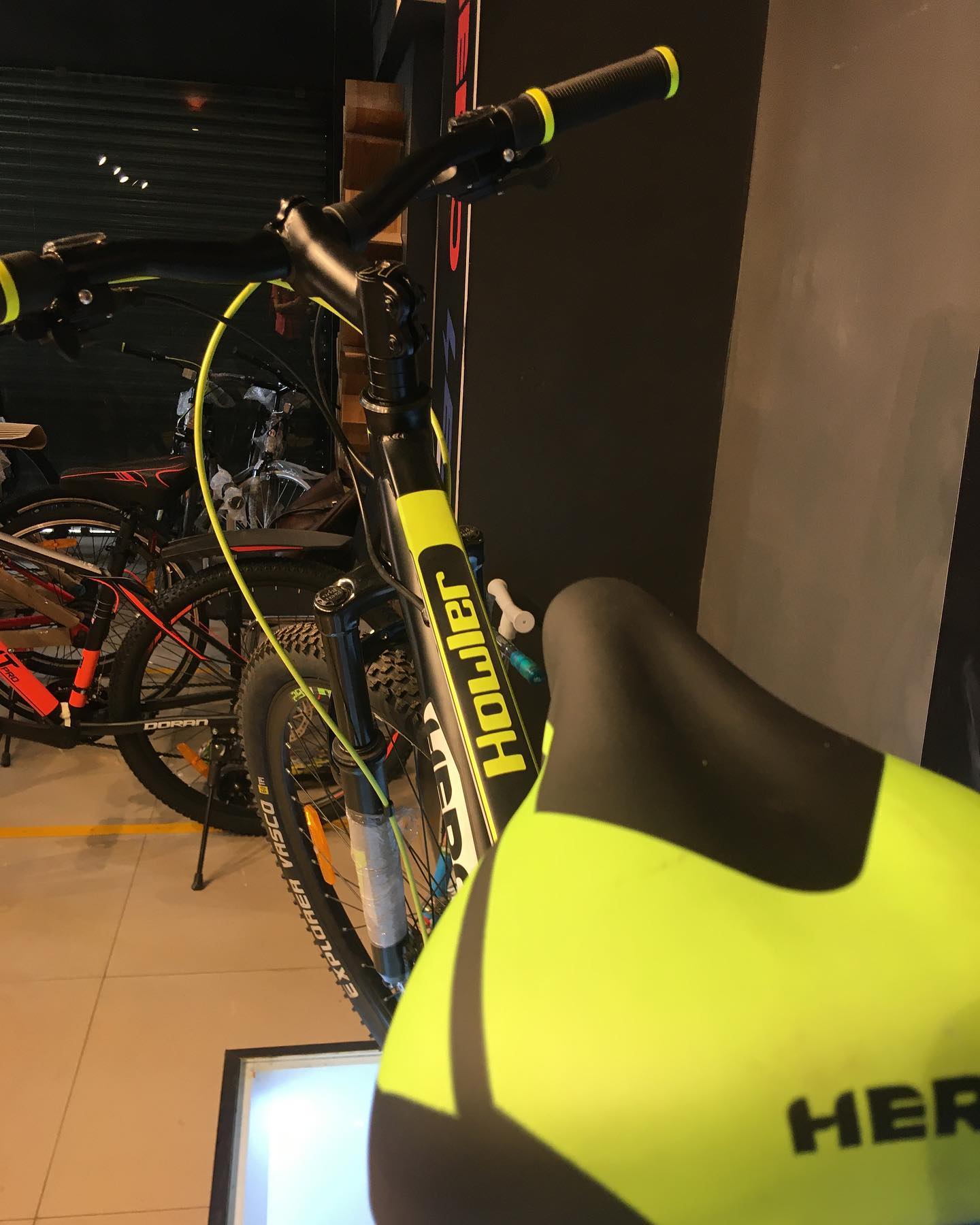 The Cycle stop
