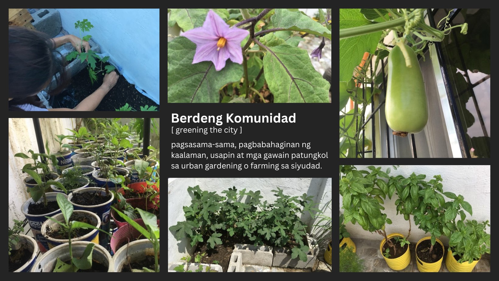 Berdeng Komunidad | Facebook