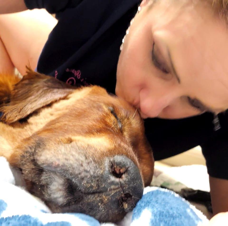 Hope's Rescue and Recovery Angels