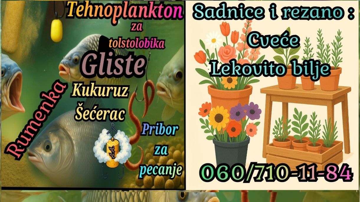 Rumenka,Kisač i Sajlovo Oglasi 13 | Facebook