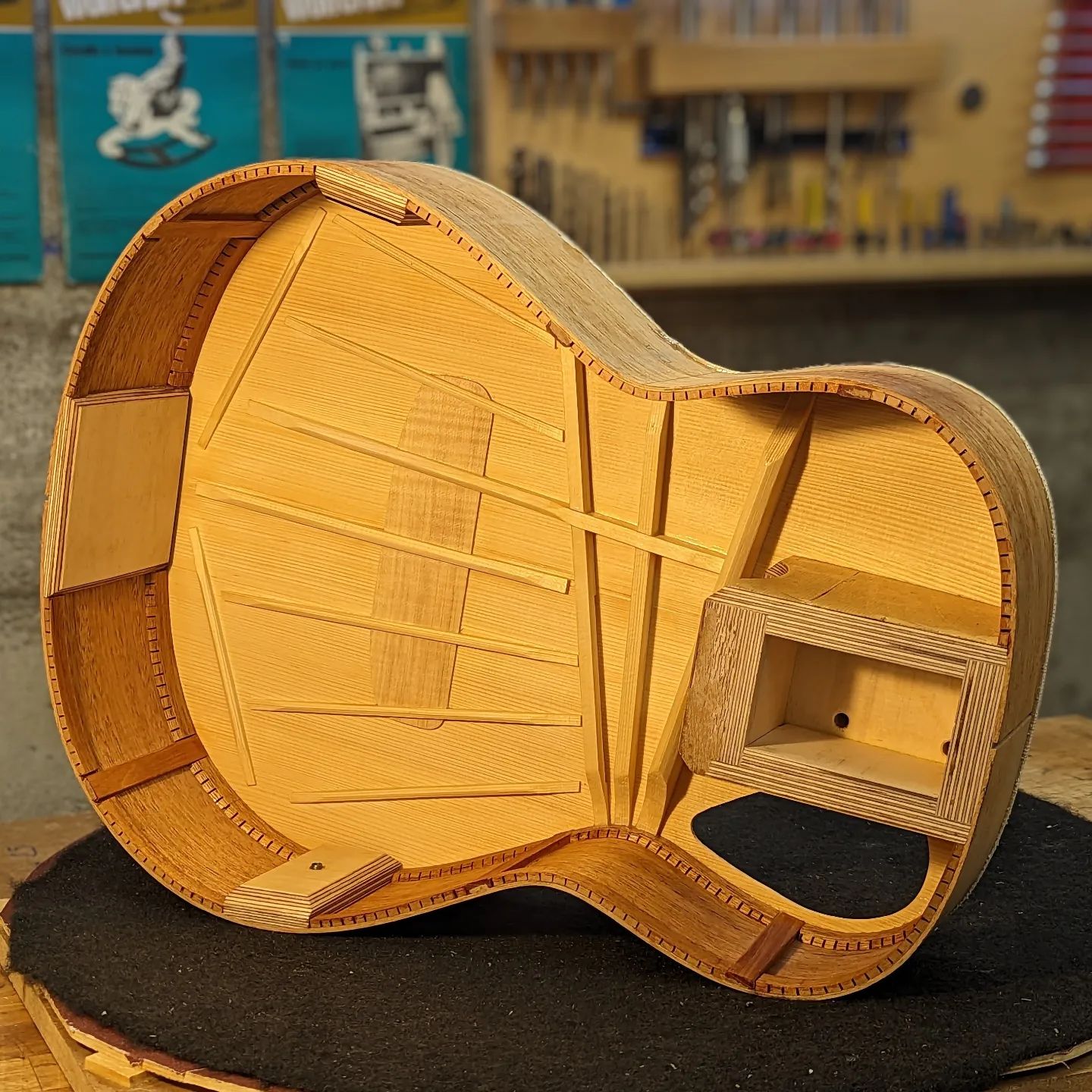 Iulius - The bracing system of the new Orchestra model is a hybrid ...