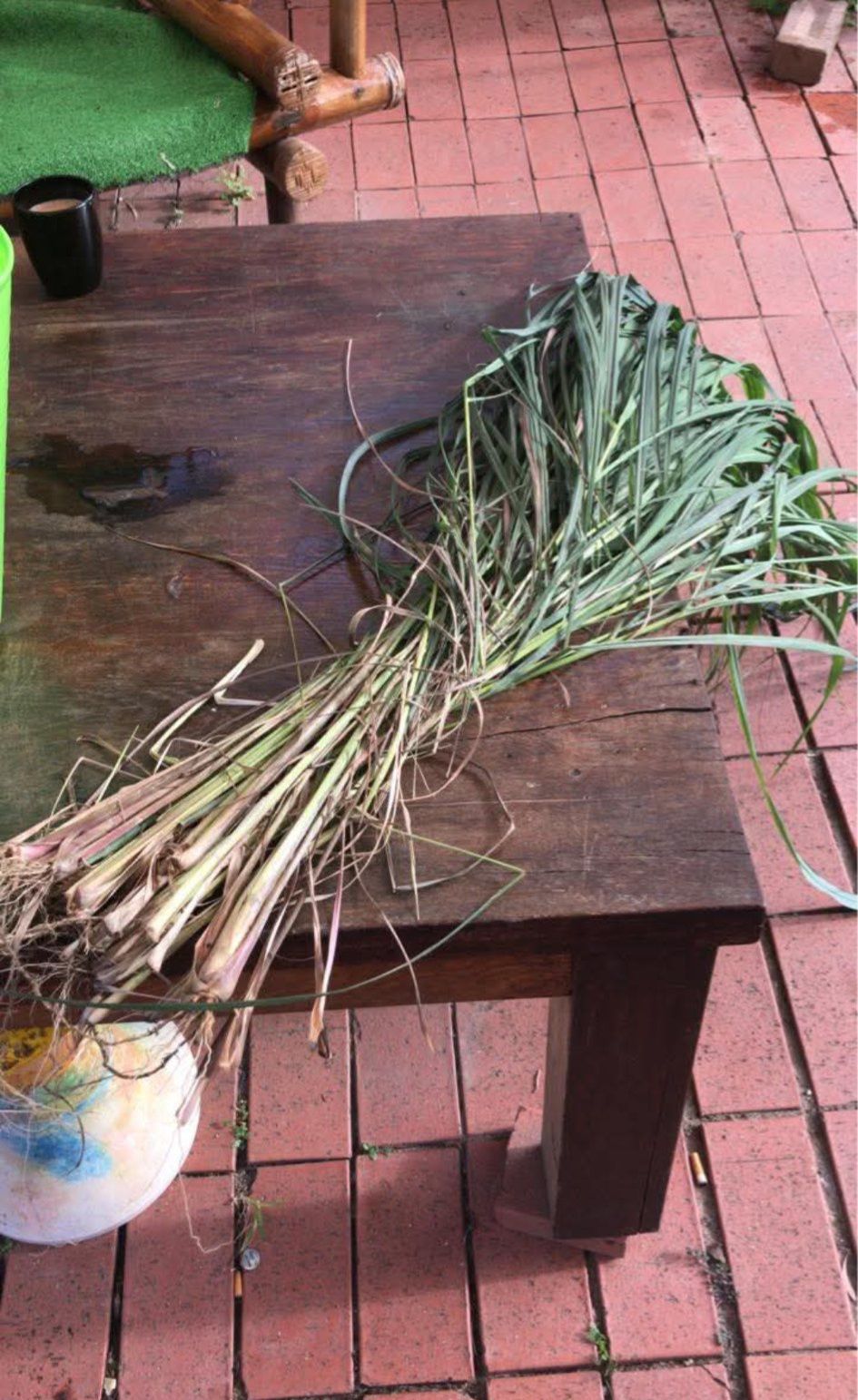 2 Lbs Fresh Organic Lemon Grass Leaves - Grown In Florida, Edible Tea Green Cut