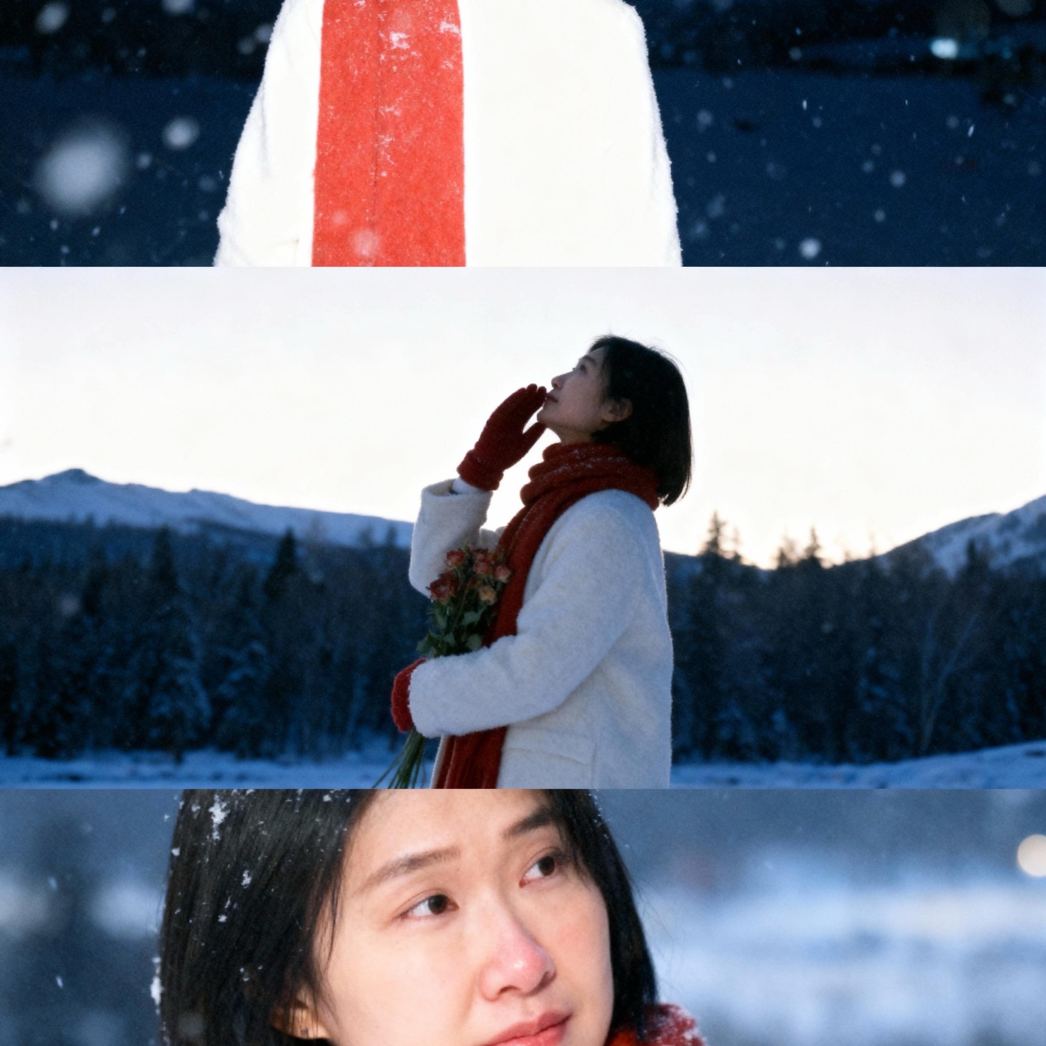 #獅子座 #星座 #星座語錄 #珍惜 | Janice Liao