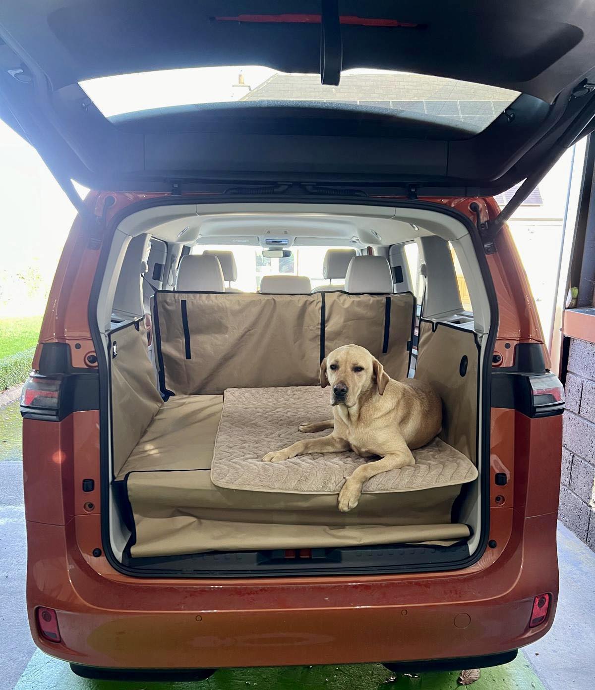 Volkswagen ID. Buzz | Has anyone found a good dog ramp option for the ...