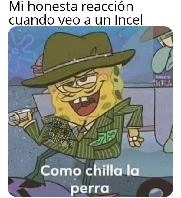 Femceleadas Proyectadas | Meme robado. Pipipipipi se acabó todo para mi ...